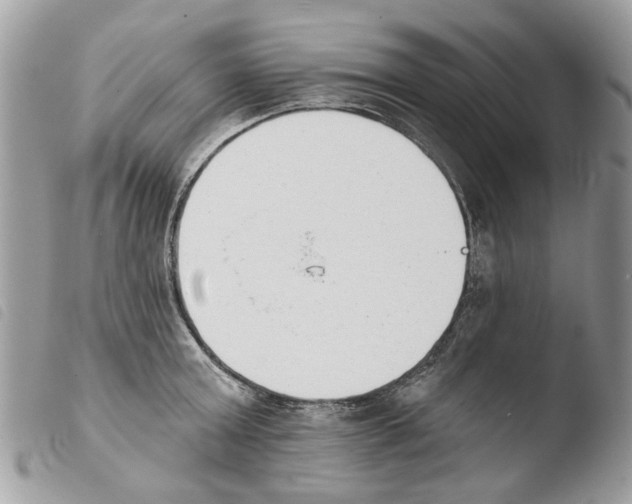 X0000103910803200810171704