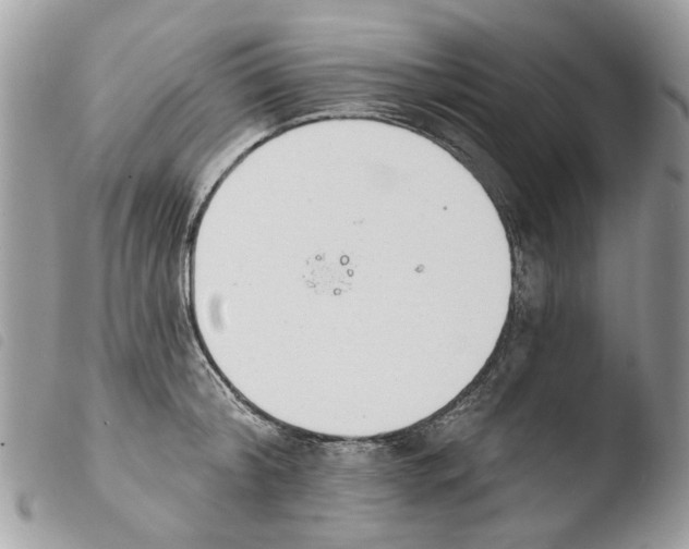 X0000103910804200810171704