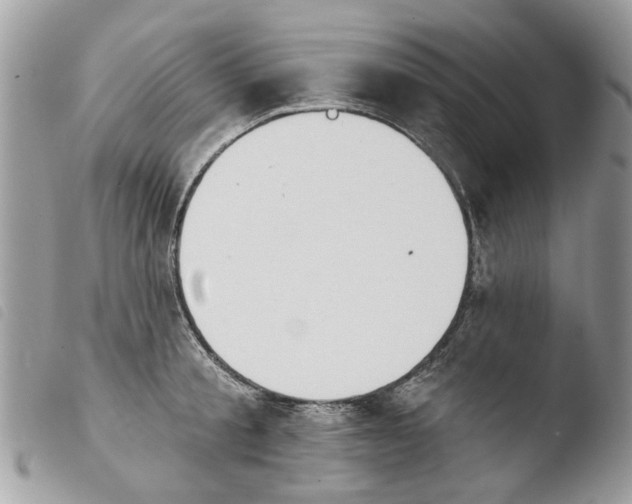 X0000103910805200810171704