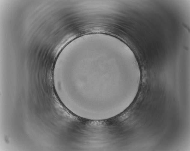 X0000103910806200810171704