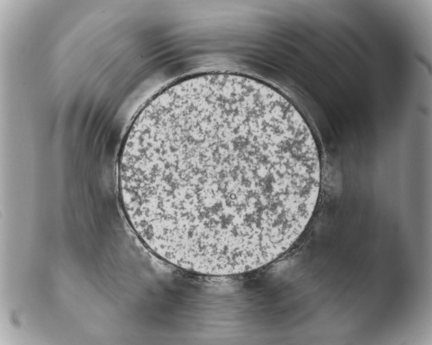 X0000103910807200810171704