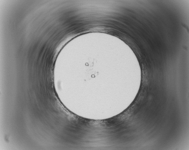 X0000103910808200810171704