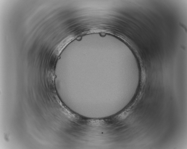X0000103910809200810171704