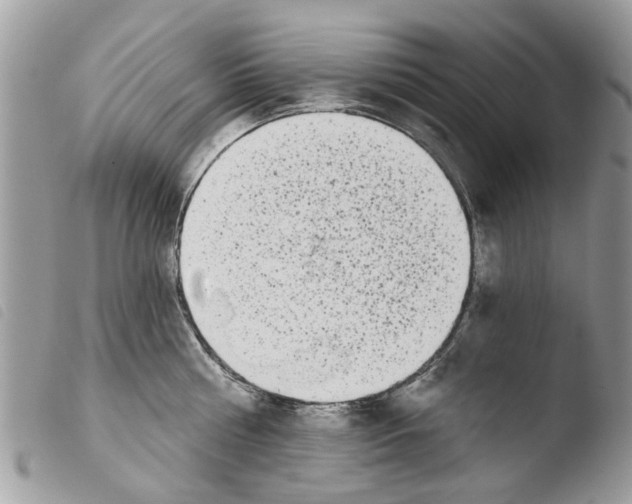 X0000103910810200810171704