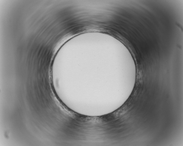 X0000103910811200810171704