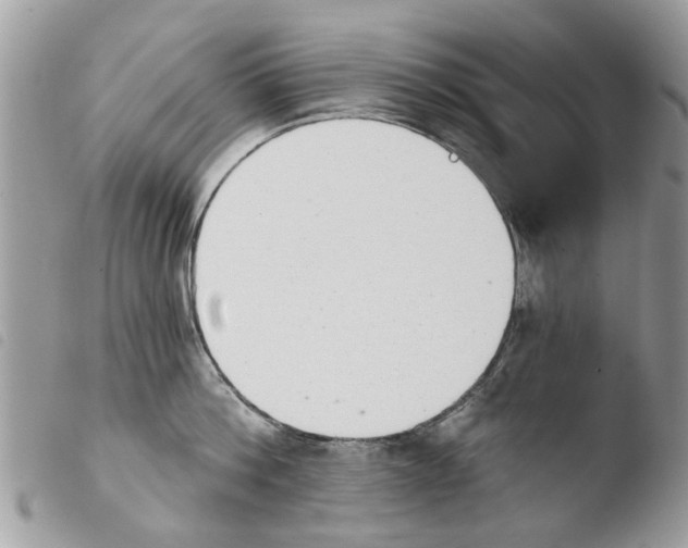 X0000103910812200810171704