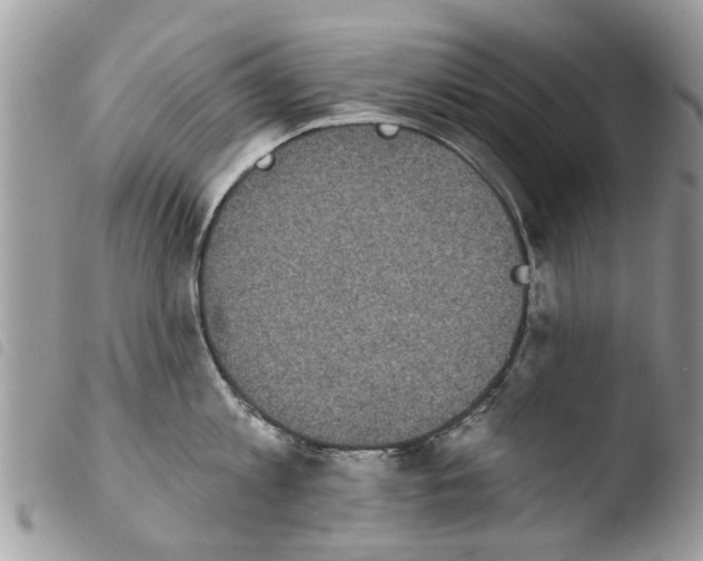 X0000103910813200810171704