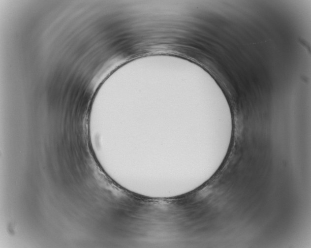 X0000103910814200810171704