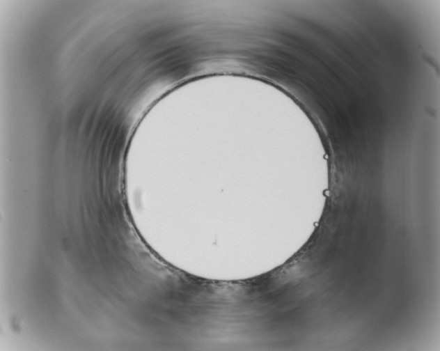 X0000103910815200810171704