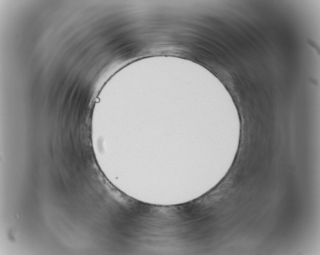 X0000103910816200810171704