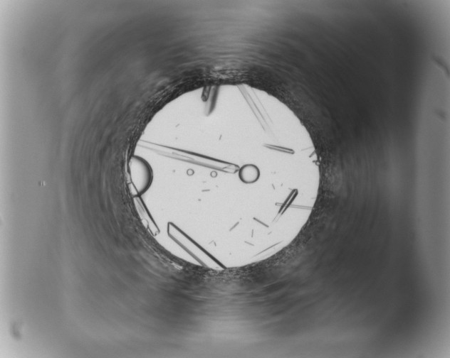X0000103910817200810171703
