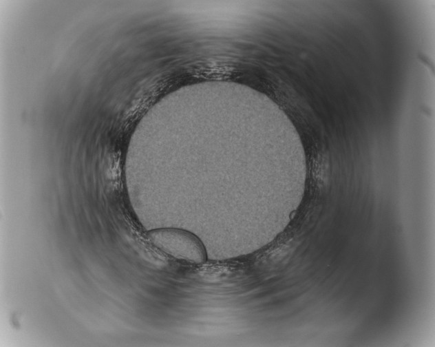 X0000103910818200810171703