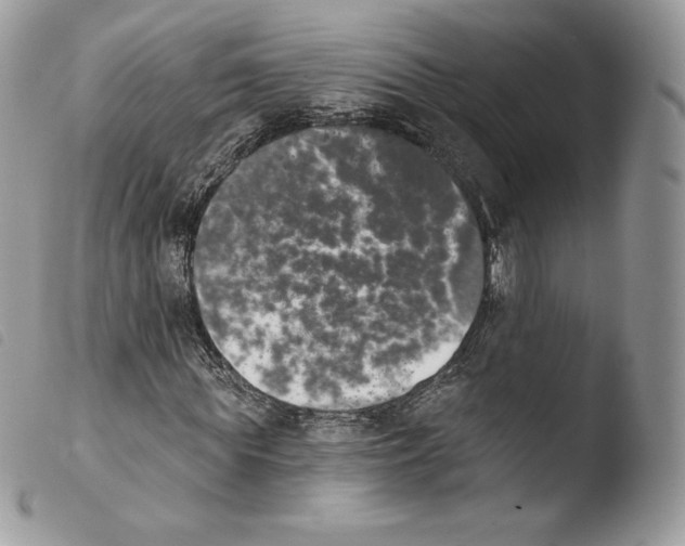 X0000103910819200810171703
