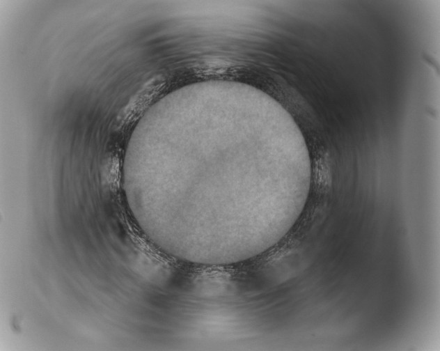 X0000103910820200810171703
