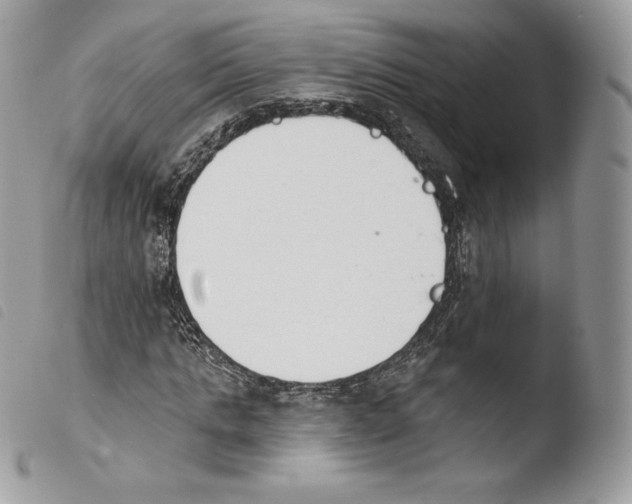 X0000103910821200810171703