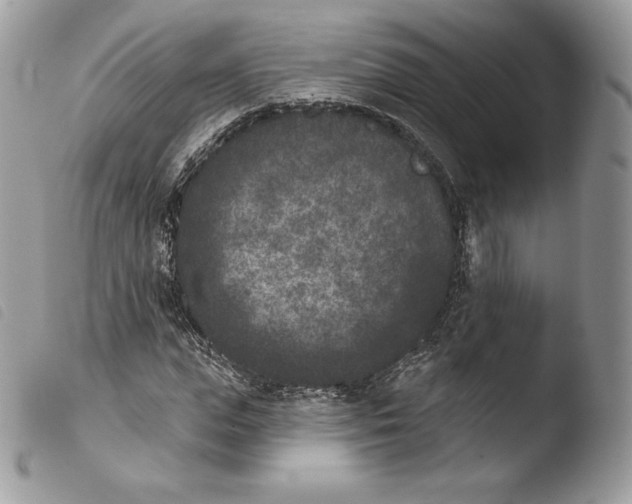 X0000103910823200810171703