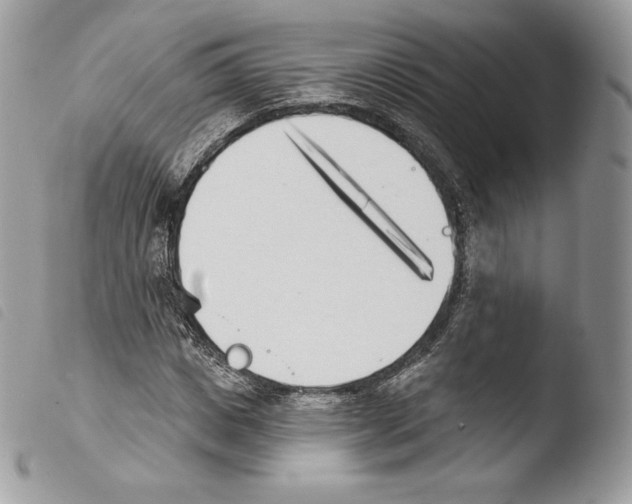 X0000103910825200810171703