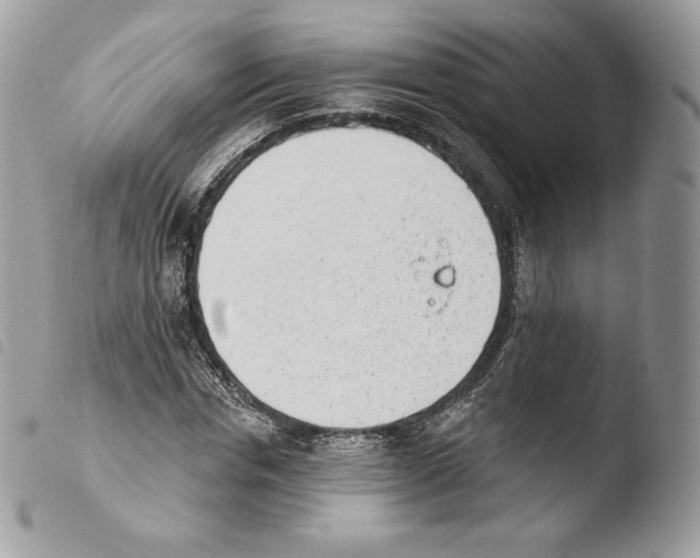 X0000103910826200810171703