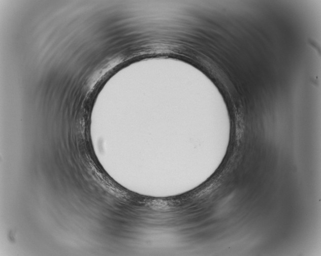 X0000103910827200810171703