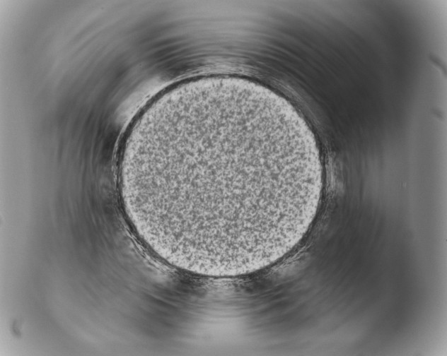 X0000103910828200810171703