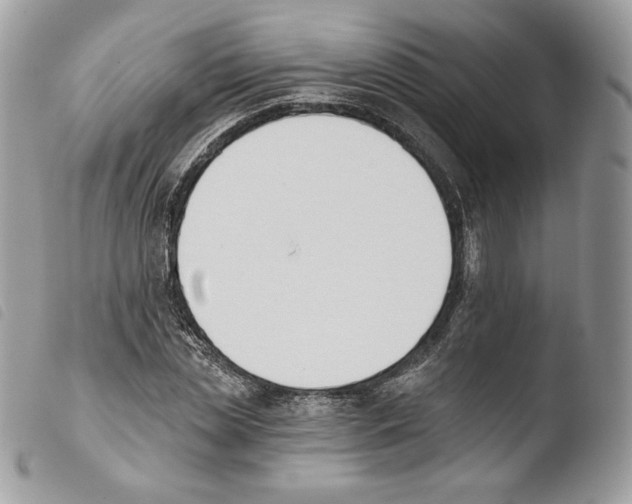 X0000103910829200810171703