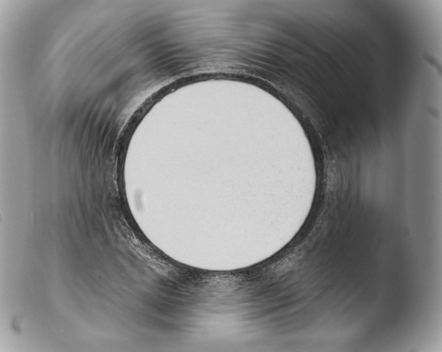 X0000103910830200810171703