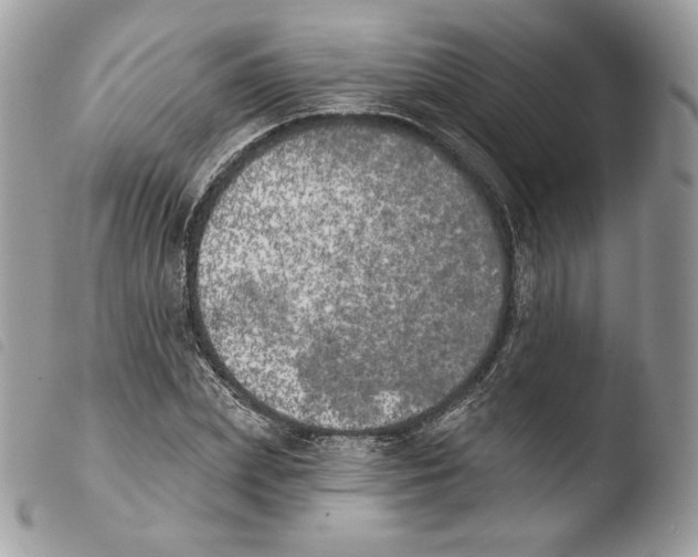 X0000103910831200810171703