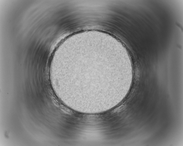 X0000103910832200810171703
