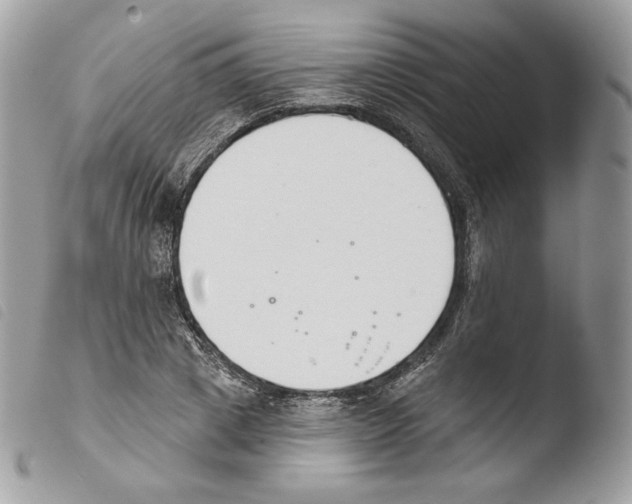 X0000103910833200810171703
