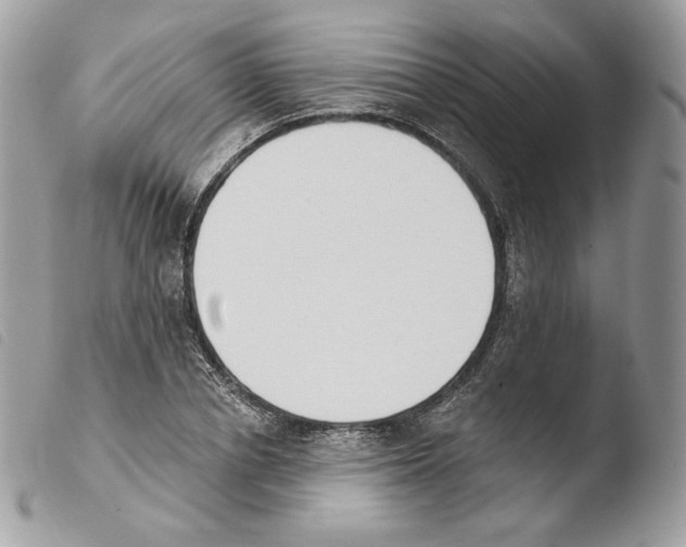 X0000103910834200810171703