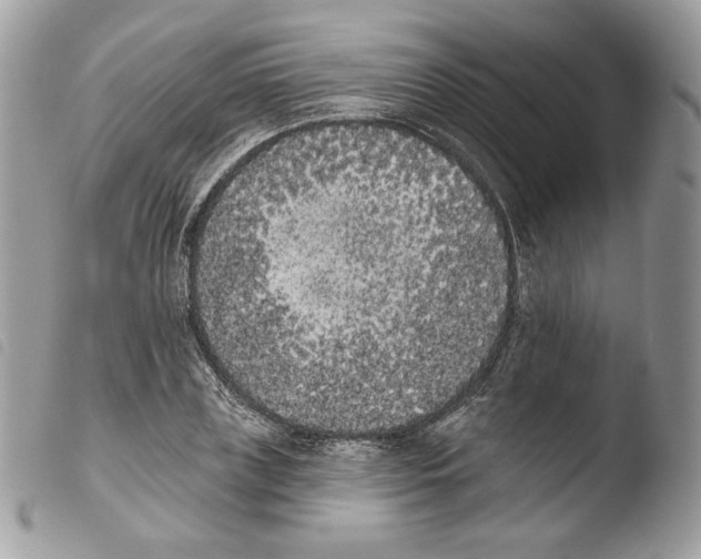 X0000103910835200810171703
