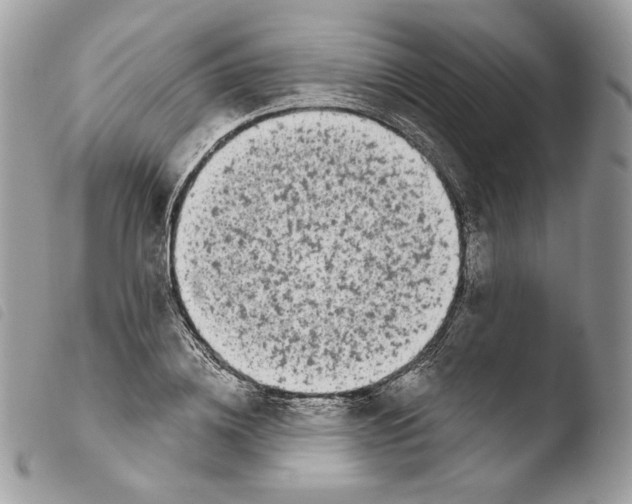 X0000103910836200810171703