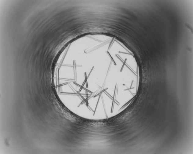 X0000103910837200810171703