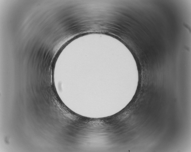 X0000103910838200810171703