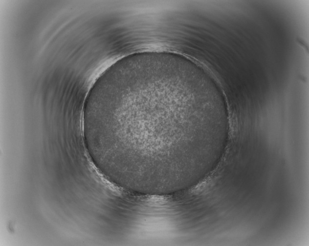 X0000103910839200810171703