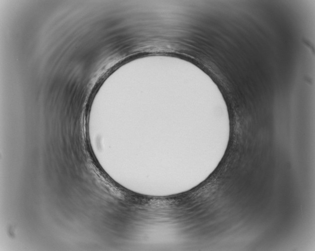 X0000103910840200810171703