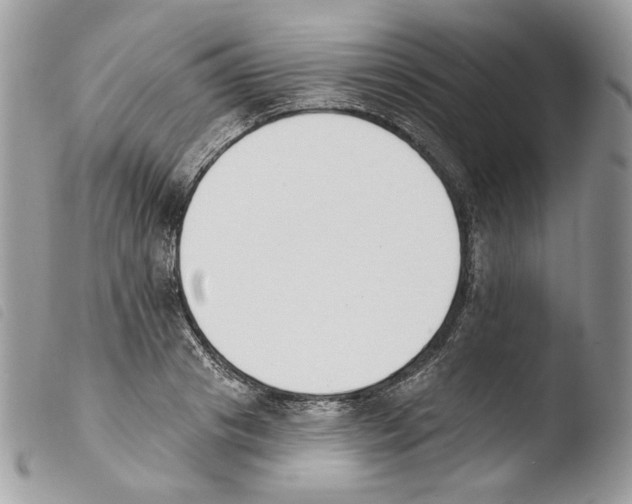 X0000103910841200810171703