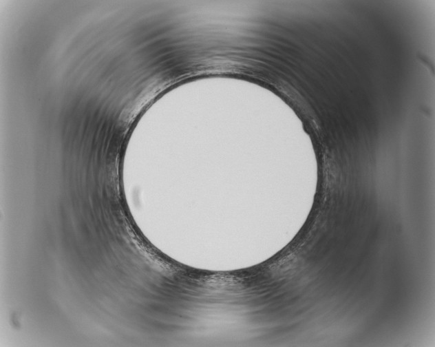 X0000103910842200810171703