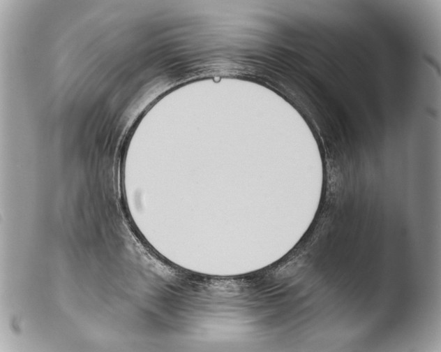 X0000103910843200810171703