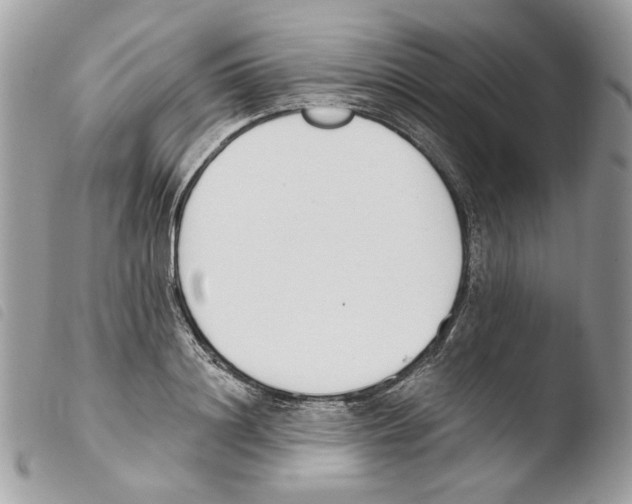 X0000103910844200810171703