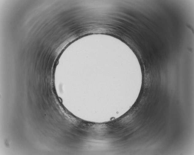 X0000103910845200810171703