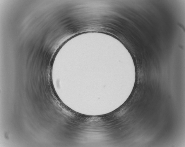 X0000103910846200810171703