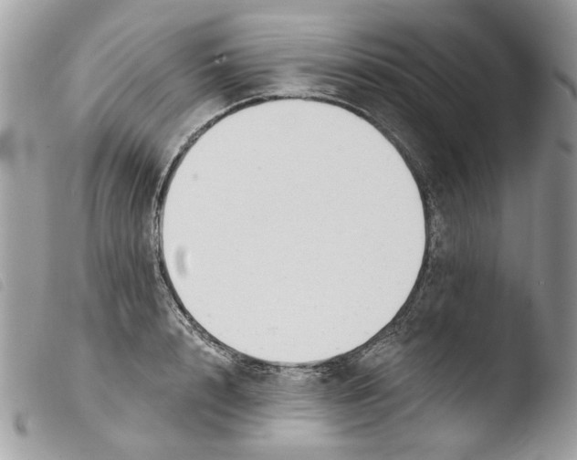 X0000103910848200810171703