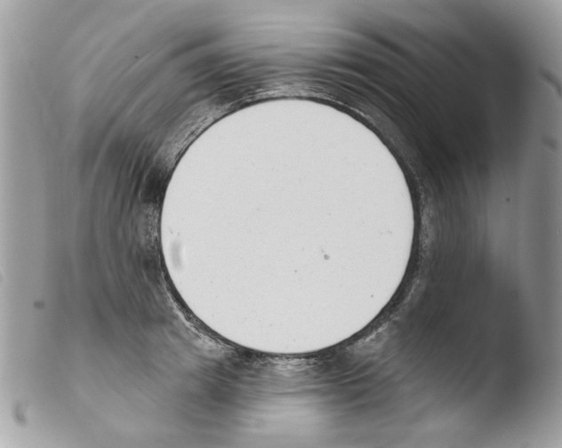 X0000103910849200810171703