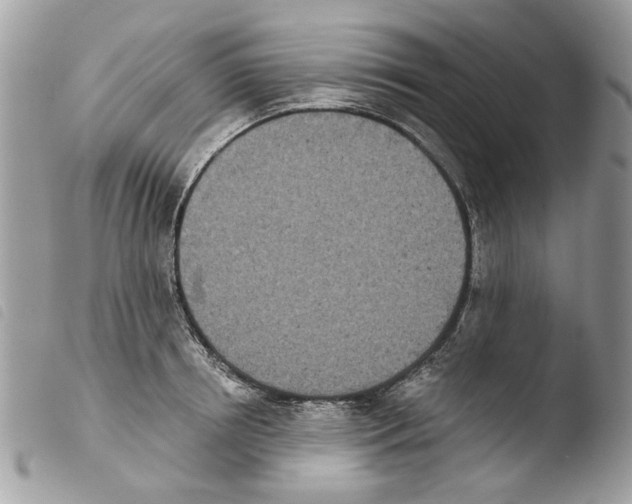 X0000103910850200810171703