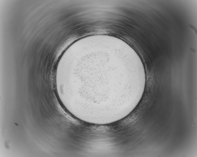 X0000103910851200810171703