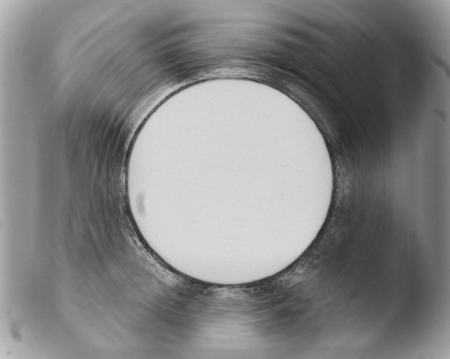 X0000103910852200810171703