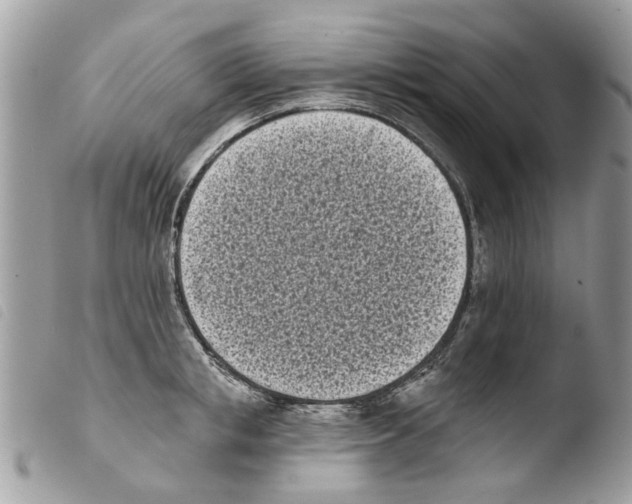 X0000103910853200810171704