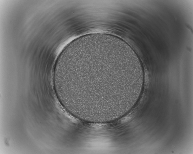 X0000103910854200810171704