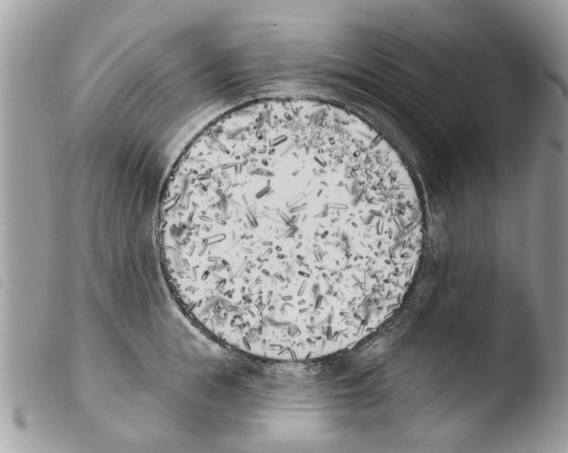 X0000103910855200810171704